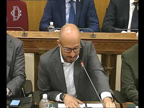 Vigilanza Rai, audizione Salini Vigilanza Rai, audizione Salini