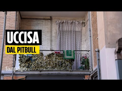 Bimba morta ad Acerra, i vicini: “Il pitbull aveva già ucciso un altro cane” Bimba morta ad Acerra, i vicini: “Il pitbull aveva già ucciso un altro cane”