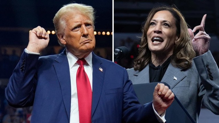 Elezioni Usa, da Trump “tiranno fascista” a Harris “stupida pazza”: best of degli insulti Elezioni Usa, da Trump “tiranno fascista” a Harris “stupida pazza”: best of degli insulti