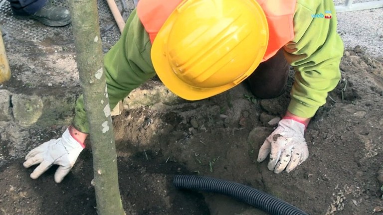 Il Comune di Napoli adotta il salario minimo Il Comune di Napoli adotta il salario minimo