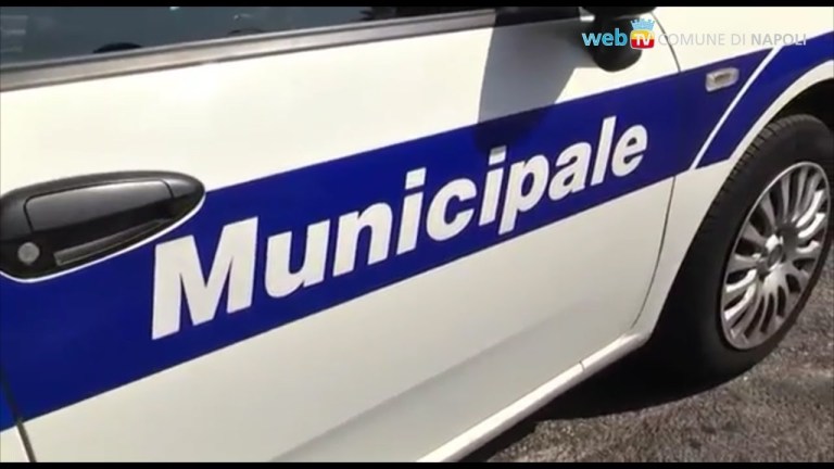In servizio da lunedì i 53 neo-agenti di Polizia Municipale In servizio da lunedì i 53 neo-agenti di Polizia Municipale