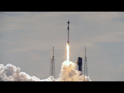 SpaceX lancia una missione di salvataggio per riportare gli astronauti bloccati sulla Iss SpaceX lancia una missione di salvataggio per riportare gli astronauti bloccati sulla Iss