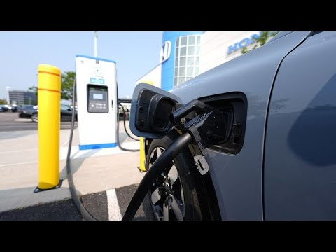 Belgio, il porto di Zeebrugge intasato di auto elettriche a causa dell’eccesso di offerta Belgio, il porto di Zeebrugge intasato di auto elettriche a causa dell’eccesso di offerta