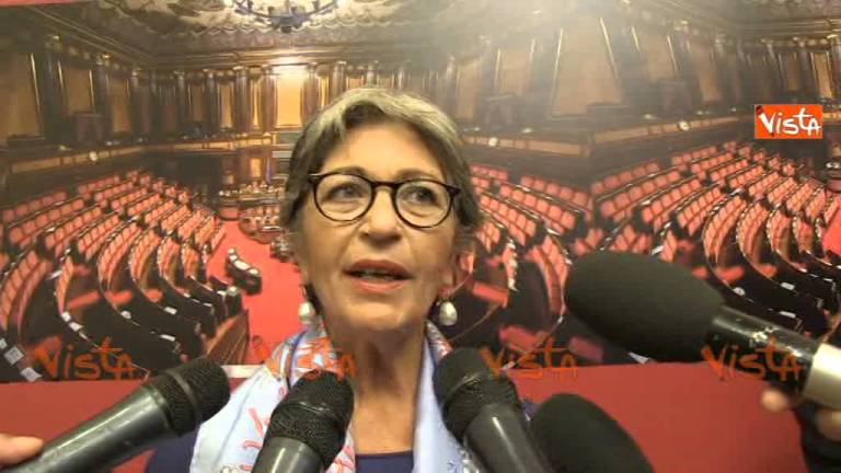 FINOCCHIARO: RIFORMA SENATO, CI SONO CONDIZIONI POLITICHE PER ACCORDO NEL PD E NON SOLO FINOCCHIARO: RIFORMA SENATO, CI SONO CONDIZIONI POLITICHE PER ACCORDO NEL PD E NON SOLO