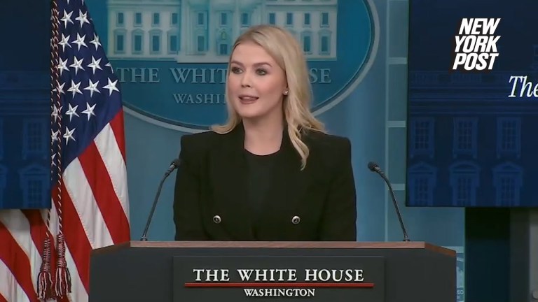 WH Press Secretary Karoline Leavitt calls out Politico for receiving funding from USAID WH Press Secretary Karoline Leavitt calls out Politico for receiving funding from USAID