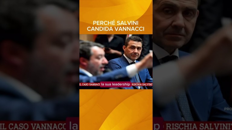 Perché Salvini candida Vannacci. #shorts #lucasommi #vannacci #salvini Perché Salvini candida Vannacci. #shorts #lucasommi #vannacci #salvini
