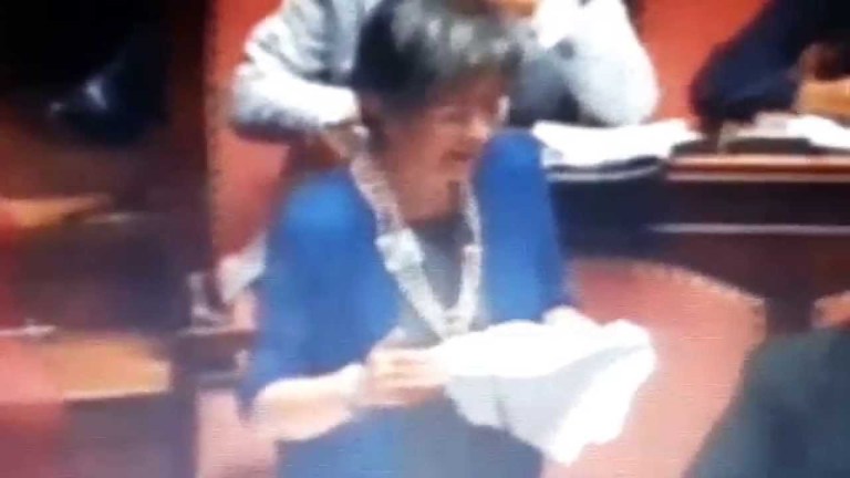 20140714 riforma senato e titolo V costituzione relazione introduttiva sen.Anna Finocchiaro 3 20140714 riforma senato e titolo V costituzione relazione introduttiva sen.Anna Finocchiaro 3