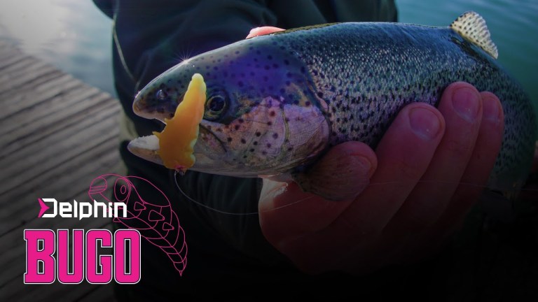 Delphin BUGO Cheese Delphin BUGO Cheese