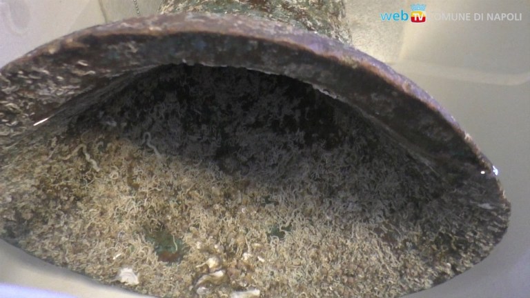 Riemergono dalle acque del Porto reperti archeologici del ’99 Riemergono dalle acque del Porto reperti archeologici del ’99