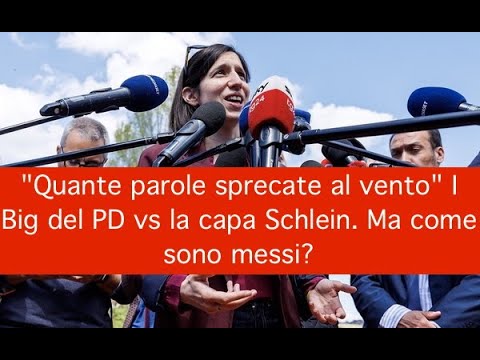 “Quante parole sprecate al vento” I Big del PD vs la capa Schlein. Ma come sono messi? “Quante parole sprecate al vento” I Big del PD vs la capa Schlein. Ma come sono messi?