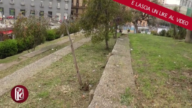 MASCHIO ANGIOINO, IL COMUNE COMPLETA LE OPERAZIONI DI PULIZIA DEL VERDE CIRCOSTANTE MASCHIO ANGIOINO, IL COMUNE COMPLETA LE OPERAZIONI DI PULIZIA DEL VERDE CIRCOSTANTE