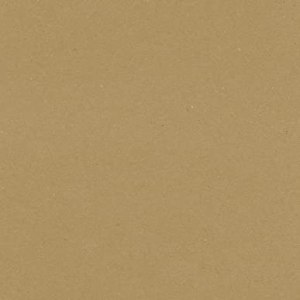 LUXPaper 8.5” x 11” Cardstock Art Paper for Crafts and Cards in 65 lb. Grocery Bag, Supplies, 250