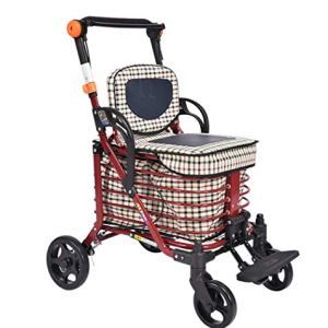 Leunlee Folding Rollator Walking Aid With Seat, Lockable Brakes, Ergonomic Handles, and Carry Bag,
