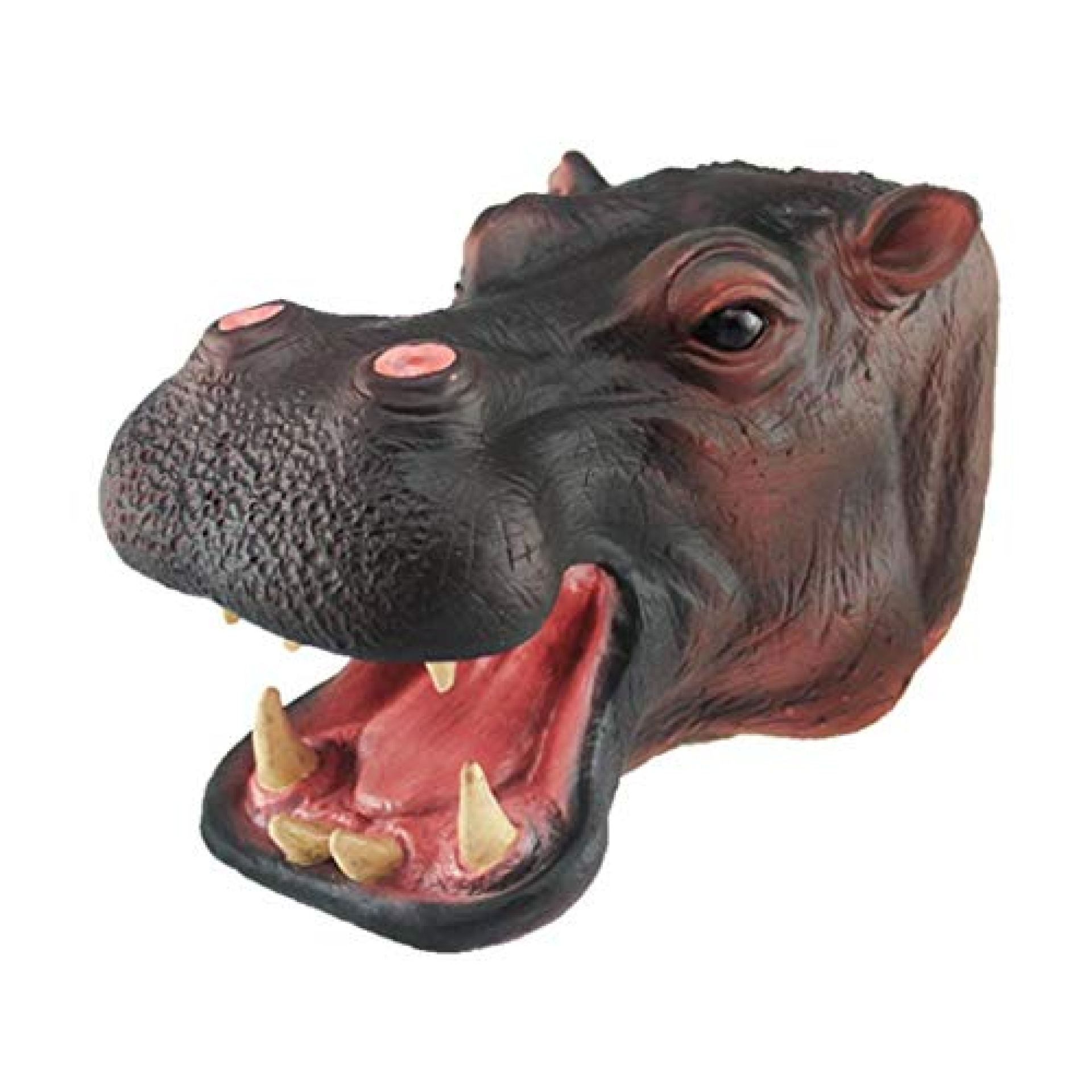 Hand Animal Toy Hand Puppets Kids Toys Role Play Props Simulation Animal Shaped Gloves Hippo Head Hand Animal Toy Hand Puppets Kids Toys Role Play Props Simulation Animal Shaped Gloves Hippo Head