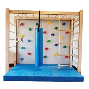 Moon Kids Monkey Bars with Accessories Set – Type 3 Indoor Gymnastics Playground Climbing, Training,