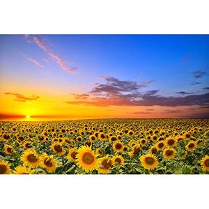 JW-MZPT Sunflower Flower Wooden Puzzle 500/1000/1500/2000/3000/4000/5000/6000 Pieces of Flower
