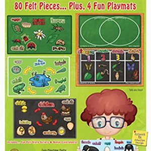Life Cycles Flannel Board Stories for Toddlers – Includes 4 FELT Chalkboard Backgrounds with Compare
