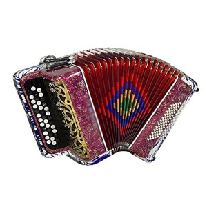KAFELE 37 Keys/60 Bass Accordion 2 Reeds Beginner/Exam/Professional/Performance/Teaching Instrument