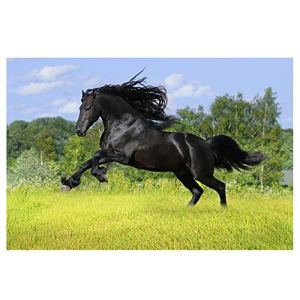FFYUGO Adult Wooden Puzzles, Horses, 500, 1000, 1500, 2000, 3000, 4000, 5000, 6000 Pieces,