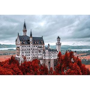 JW-MZPT New Swan Castle Puzzle, Decompression Cartoon Puzzle Parent-Child Interaction Home