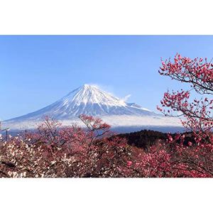 Mount Fuji Wooden Puzzle, 500/1000/1500/2000/3000/4000/5000 / 6000Pcs, Creative Gift, Famous