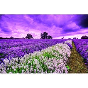 JW-MZPT Wooden Puzzles, Fun Creative Gifts for Parent-Child Interactive Educational Toys, Lavender