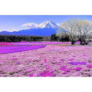 JW-MZPT Mount Fuji Wooden Puzzle, Lover Gift Classic Home Decoration, DIY Assembled Educational