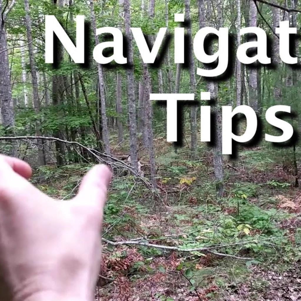 Navigating Nature’s Challenges: Wilderness Survival Tips Navigating Nature’s Challenges: Wilderness Survival Tips