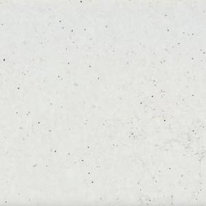 Lime Delight Lime Delight