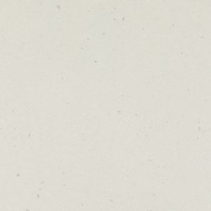 Misty Carrera Misty Carrera