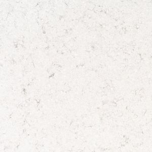 Carrara Iris Carrara Iris