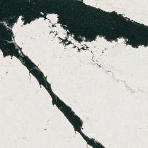 Calacatta Bolt Calacatta Bolt