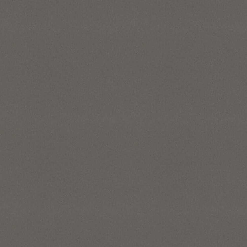 Concrete Gray
