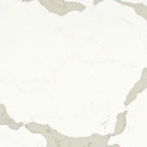 Calacatta Maximus Calacatta Maximus