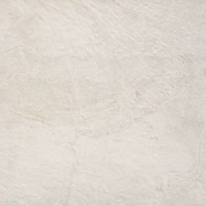 Liquid Shell Liquid Shell