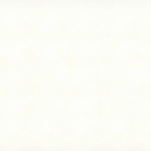 Vivid White Vivid White