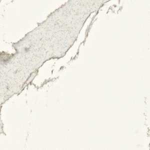 Calacatta Villa Calacatta Villa