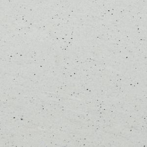 Pitaya White Pitaya White