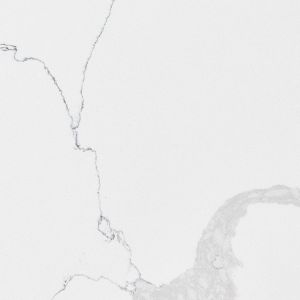 Calacatta Leon Calacatta Leon