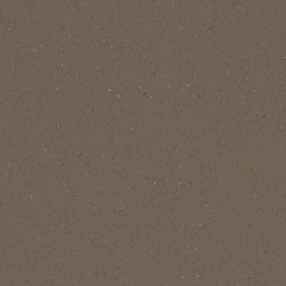 Fossil Brown