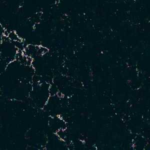 Liberty Black Liberty Black