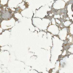 Arctic Arabescato Arctic Arabescato