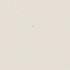 Lincoln White Lincoln White