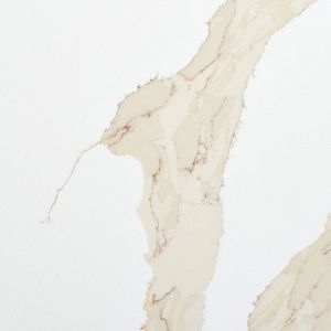 Calacatta Leon Gold Calacatta Leon Gold