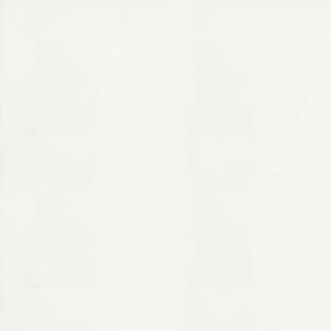 White Zeus White Zeus