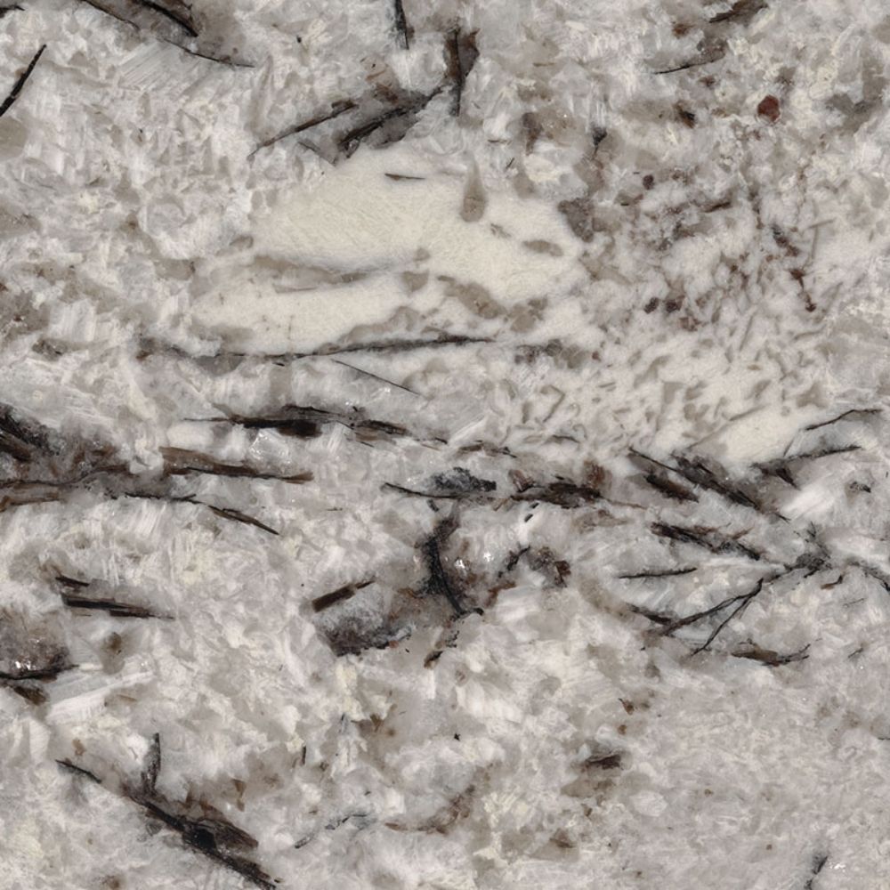 Delicatus White