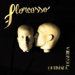 Pedaços – floreosso Pedaços – floreosso