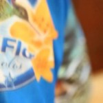 Iracema – A Virgem Dos Lábios de Mel Gilsinho Iracema – A Virgem Dos Lábios de Mel Gilsinho