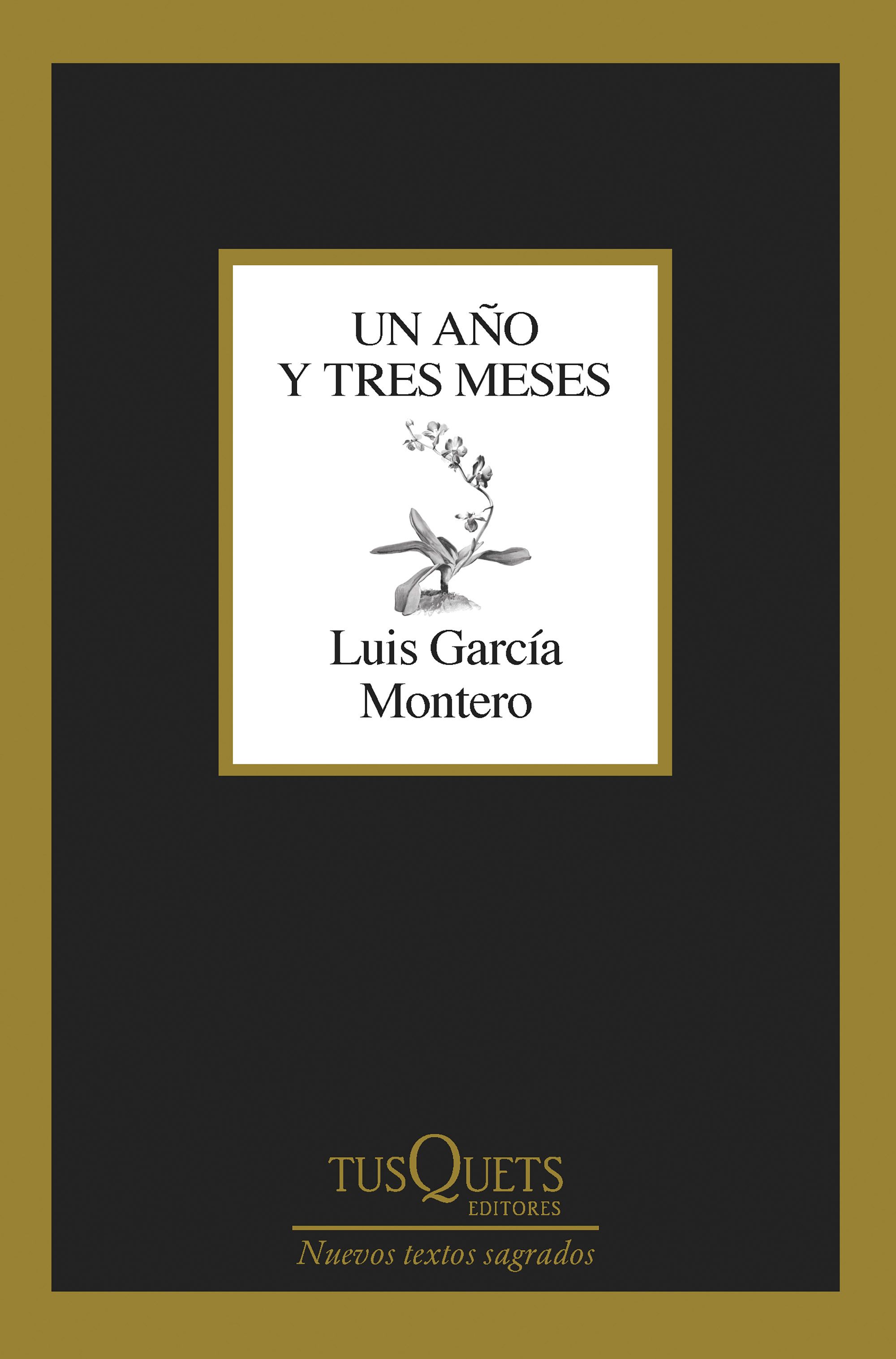 Un ańo y tres meses