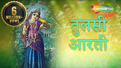 Jai Jai Tulsi Mata Aarti Lyrics in Hindi English Jai Jai Tulsi Mata Aarti Lyrics in Hindi English
